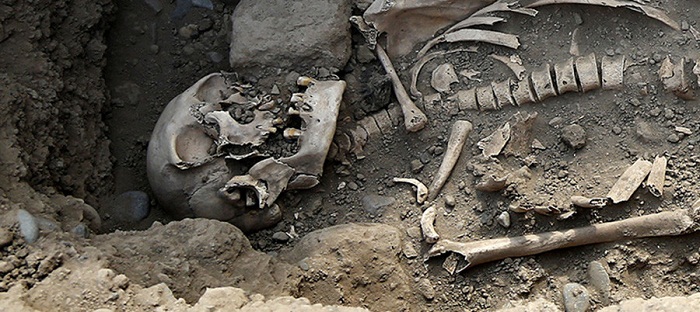 Mutilated 6,000 skeletons show Neolithic people maybe not as peaceful as thought